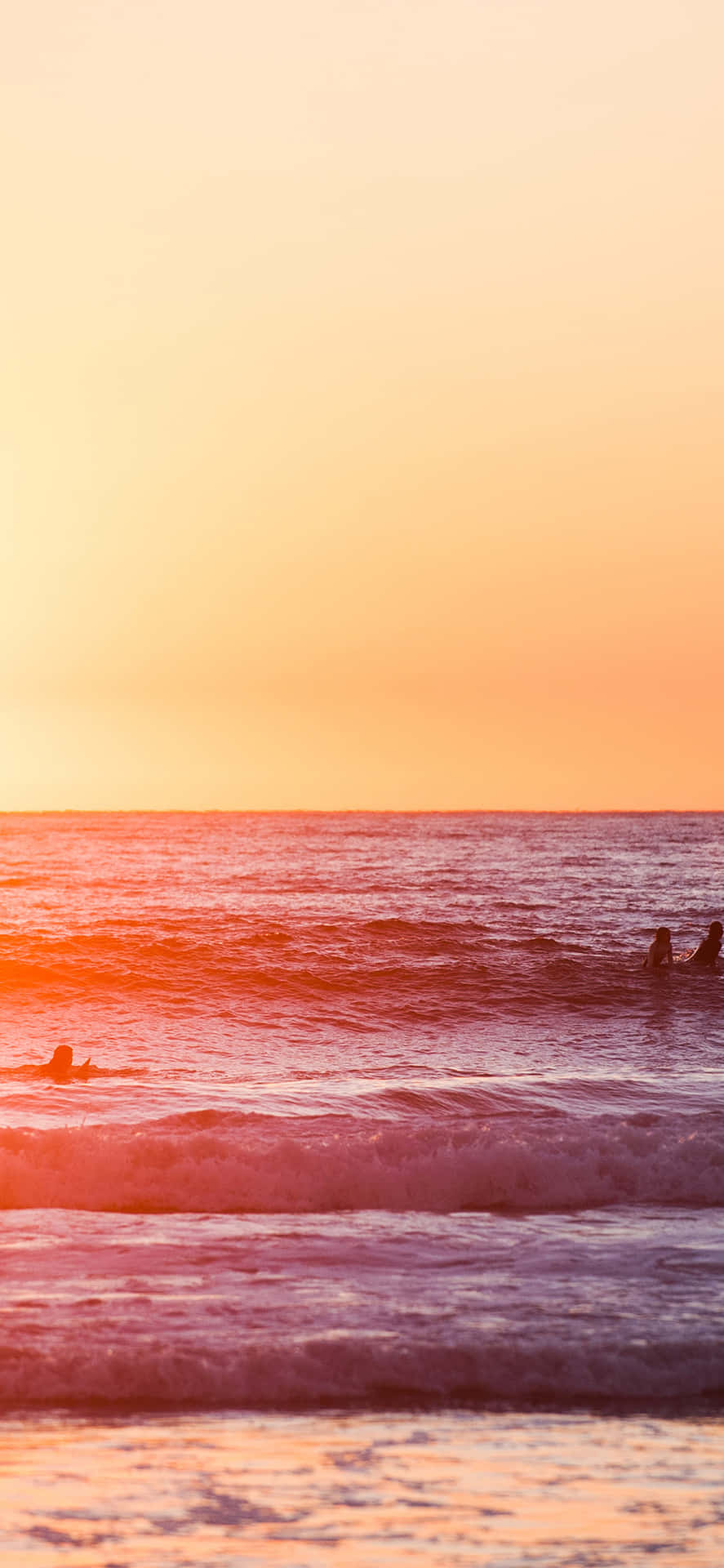California Summer Wallpaper