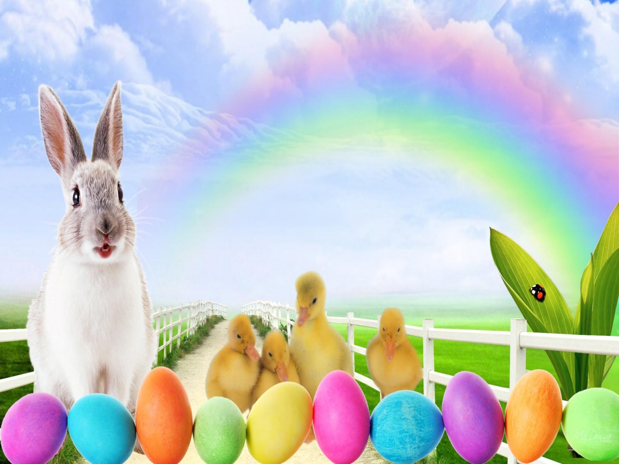 Easter Bunny Eggs And Peeps HD Wallpaper Background Image