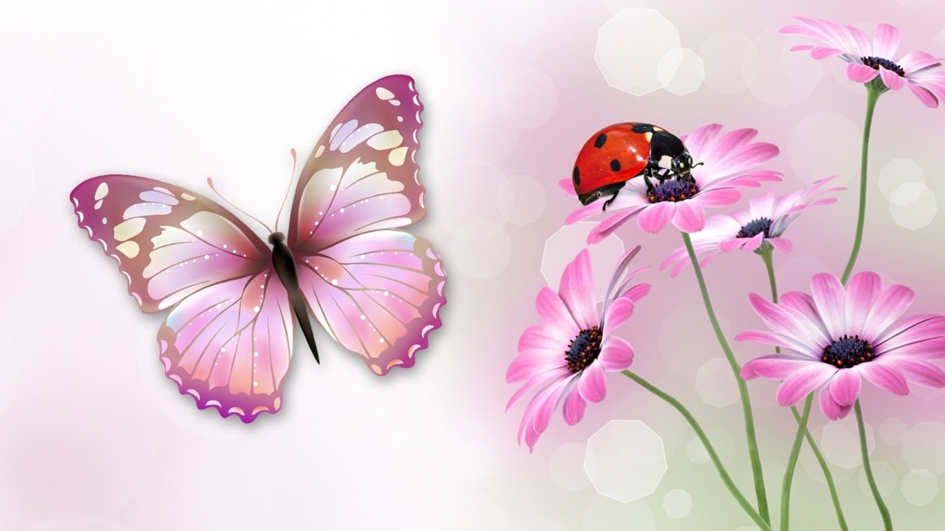 21 Lady Bug Wallpapers Backgrounds Images FreeCreatives