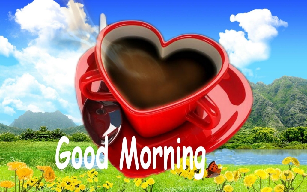 156+ Fresh Good Morning Wallpaper Free Download For Whatsapp Hd Download - Good  Morning