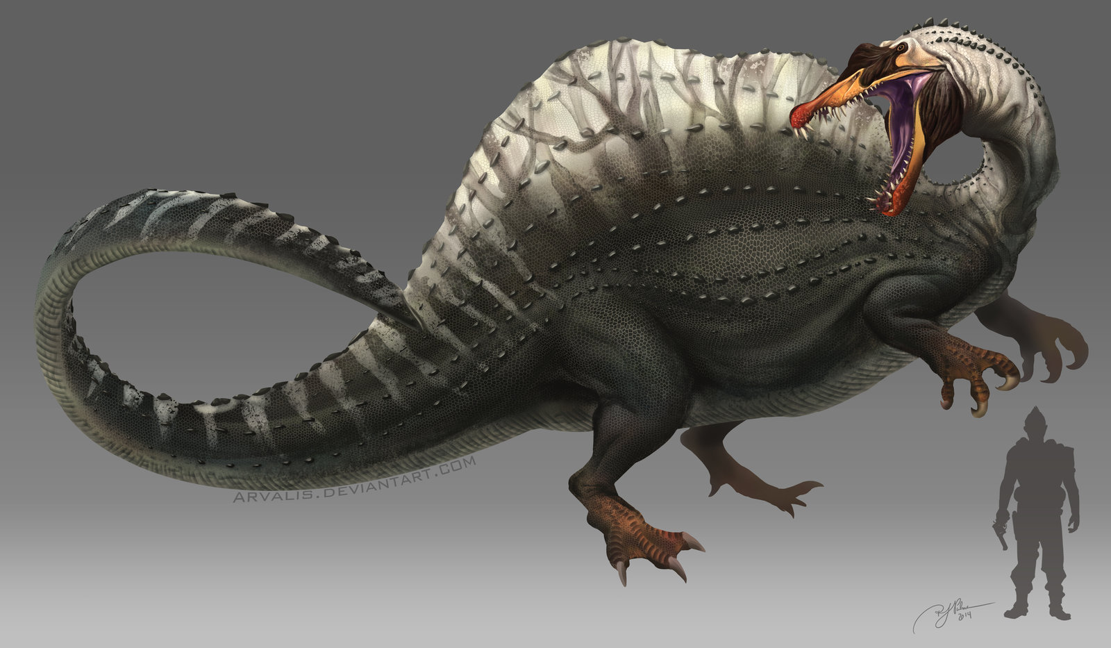 Chunky Spino By Arvalis