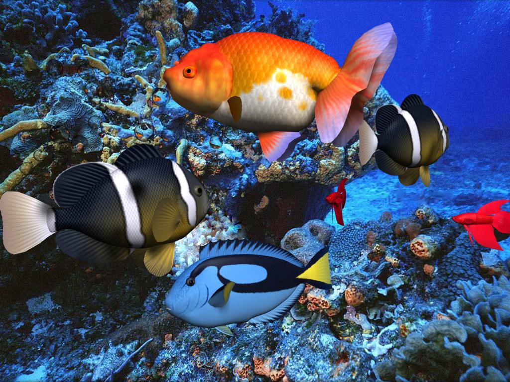 Hình nền 3D Aqua miễn phí là một cách tuyệt vời để thư giãn sau một ngày làm việc mệt mỏi. Với những hình ảnh đầy màu sắc và các tiếng nước chảy êm dịu, bạn sẽ có cảm giác như đang ngắm nhìn các loài cá vô cùng đa dạng bơi lội qua lại trong không gian 3 chiều. Điều này sẽ khiến bạn cảm thấy tươi mới và đầy năng lượng.