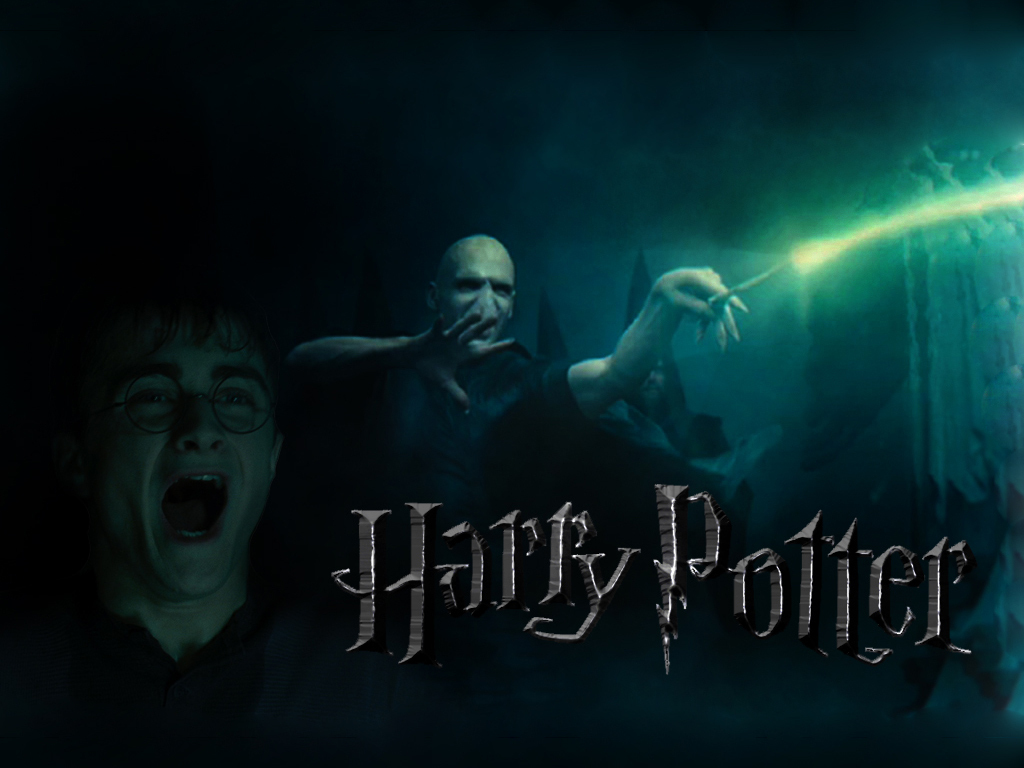 Potter and Lord Voldemort   Harry Potter and Lord Voldemort Wallpaper