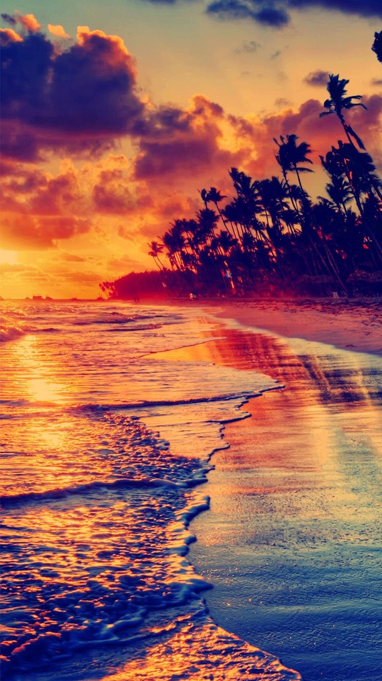 Golden Beach Sunset Tropical iPhone Wallpaper Pretty Ink