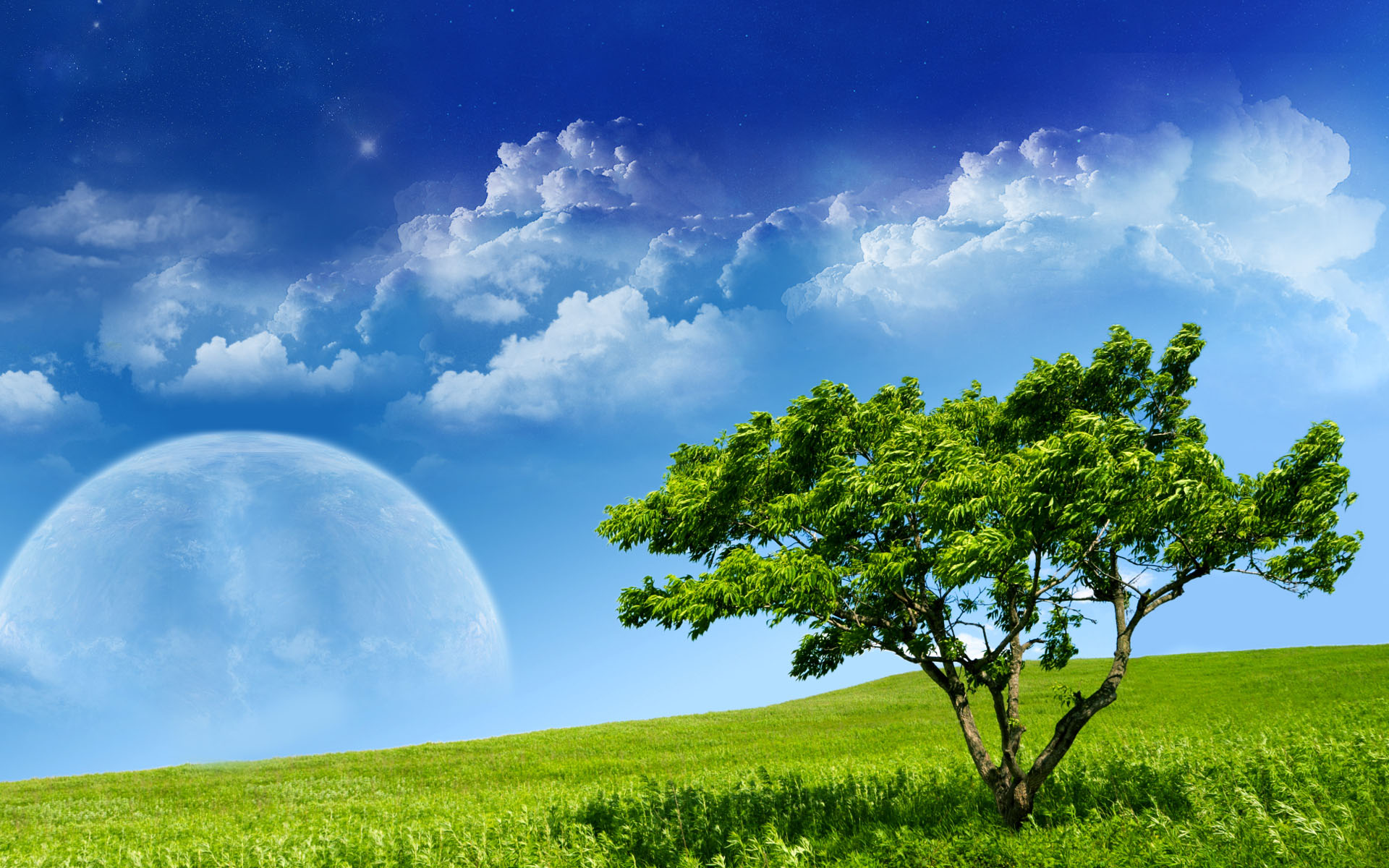 Beautiful Spring Wallpaper