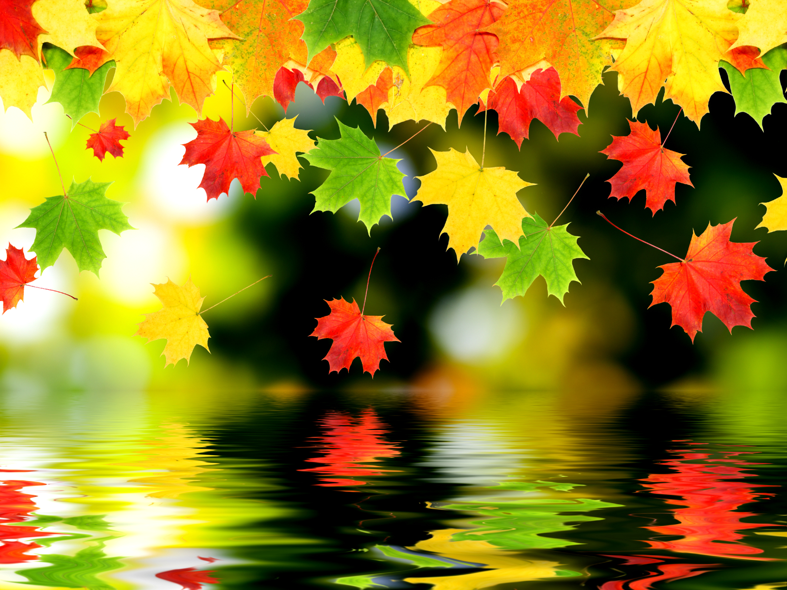 Autumn Puter Wallpaper Desktop Background Id