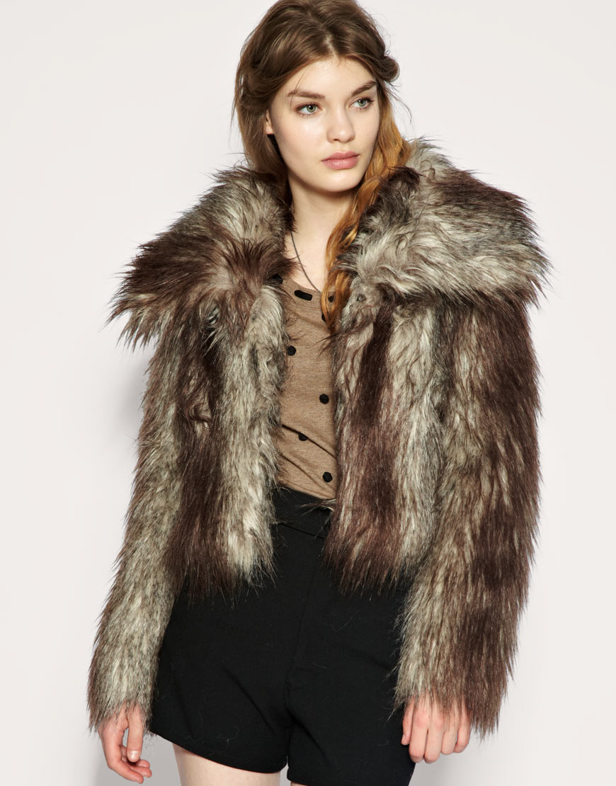 Faux Fur Coat Furs Photo Picture Image And Wallpaper