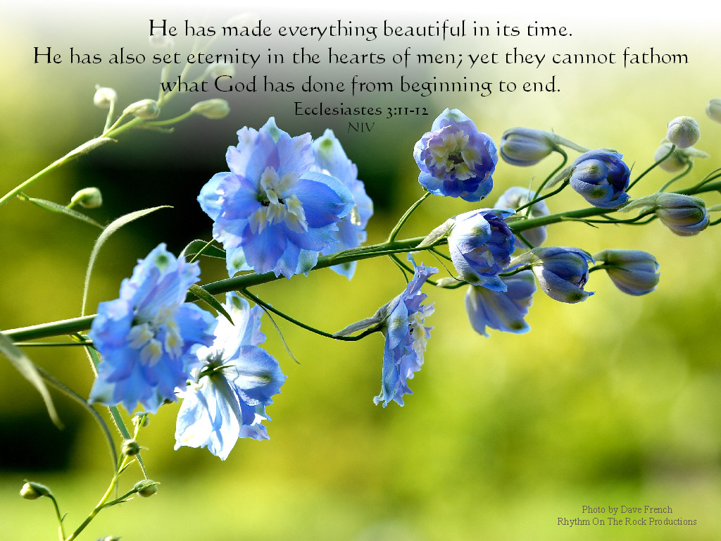 Beautiful Spring Wallpaper With Bible Verses