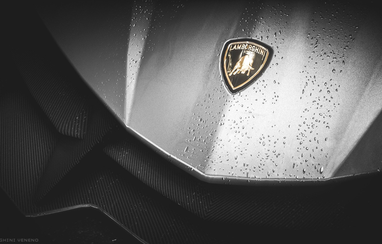 Wallpaper Need For Speed Veneno Rivals Lamborghinni Image