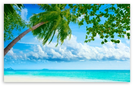 Tropical Beach Resorts HD Wallpaper For Standard Fullscreen
