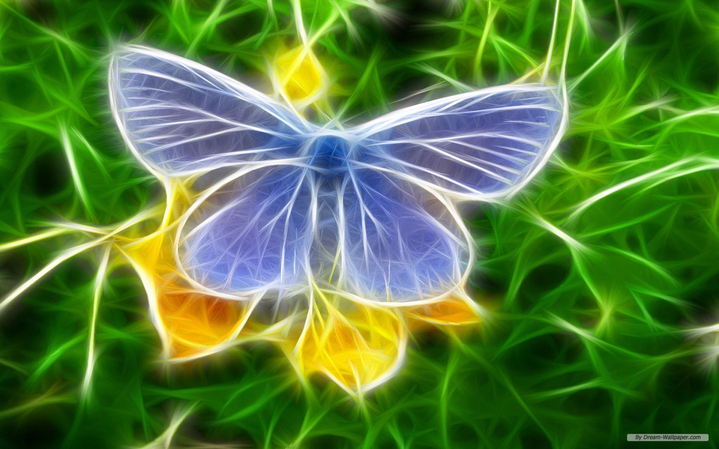 Art Wallpaper 3d Animal Index