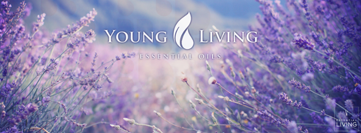 My Young Living Essential Oils Website Work In Progress