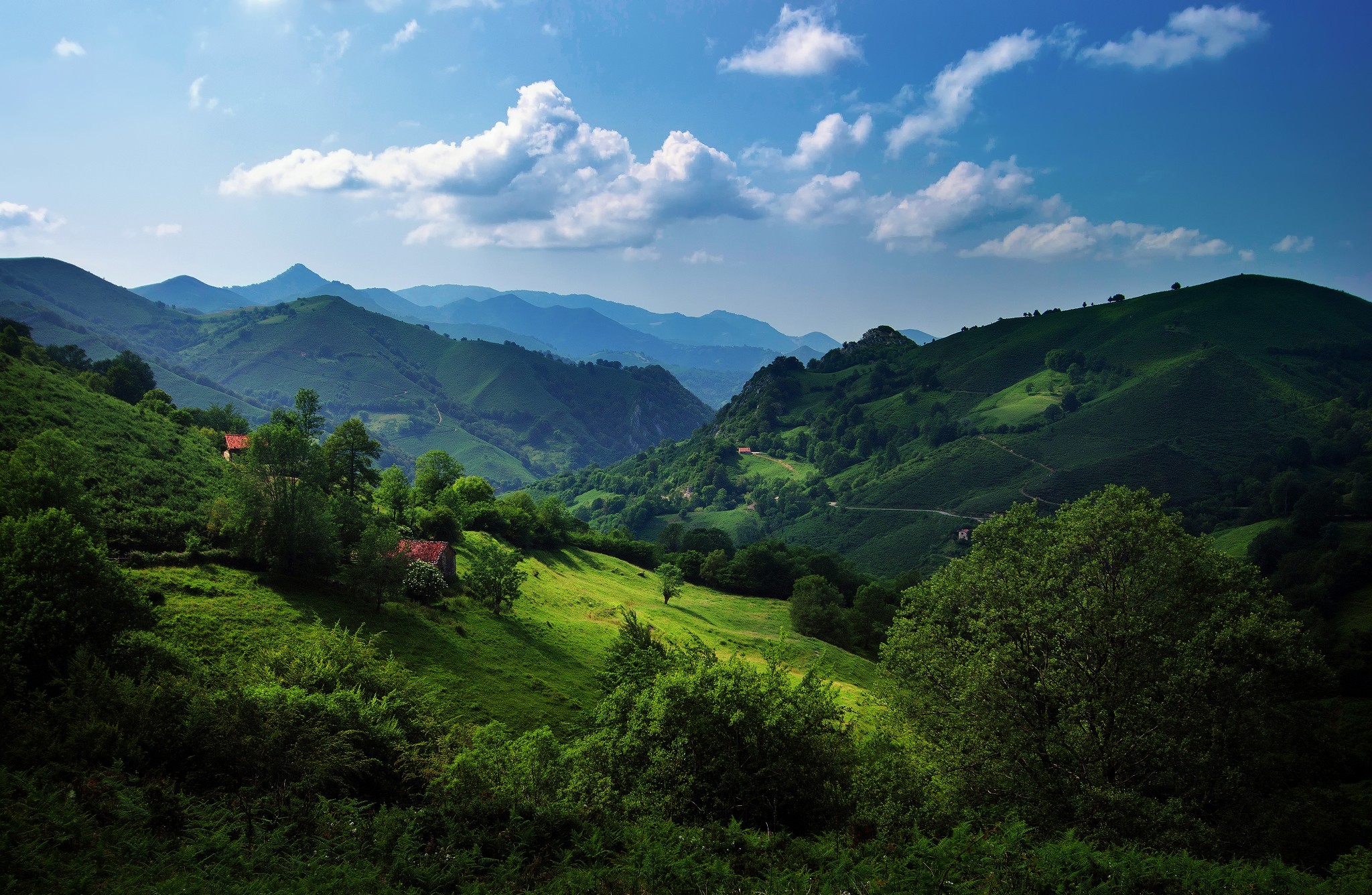 Verdant Valley Hills HD Wallpaper