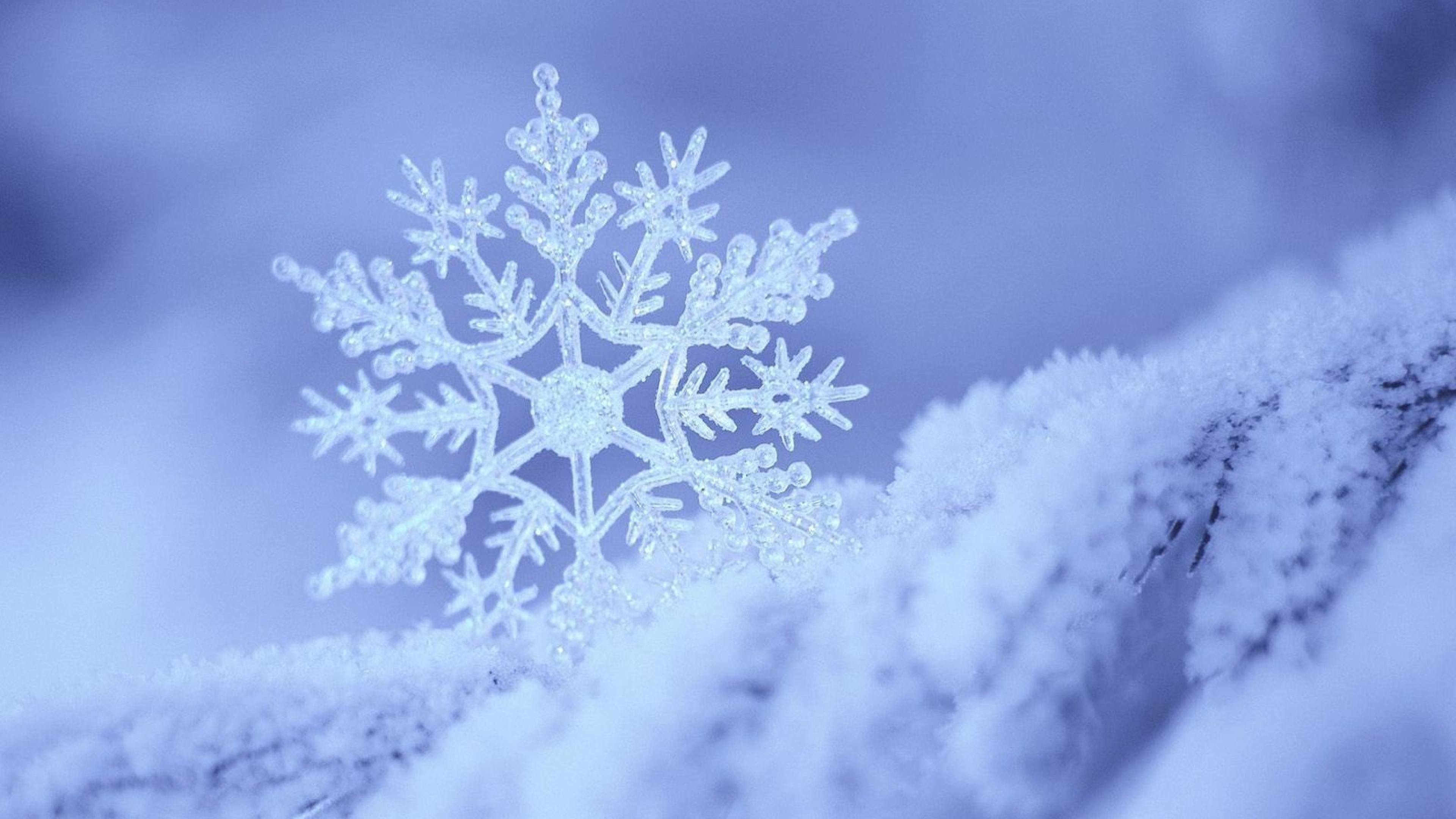 Download Wallpaper 3840x2160 snow snowflake winter form pattern 4K