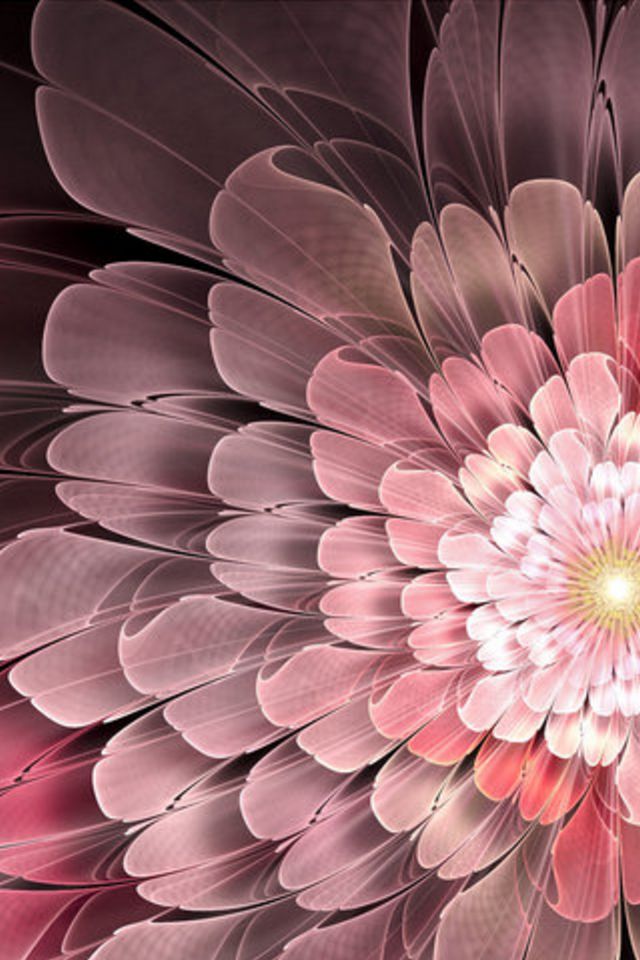 Abstract Flower iPhone Wallpaper HD
