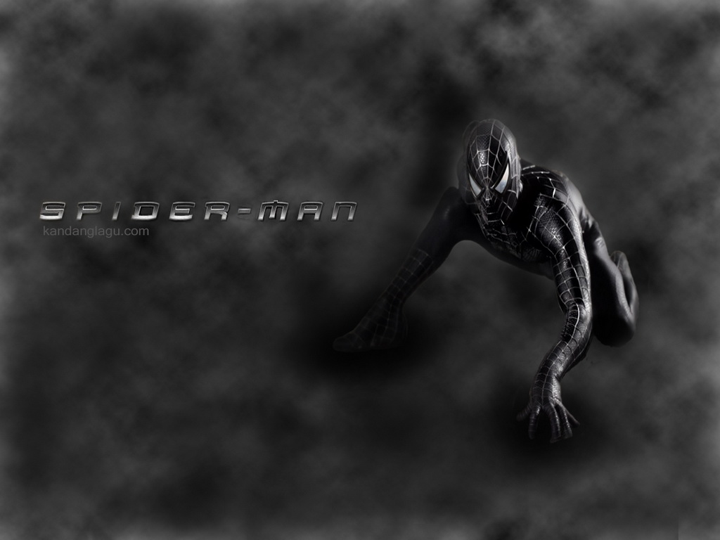 Funny Pictures Gallery Black Spiderman Wallpaper