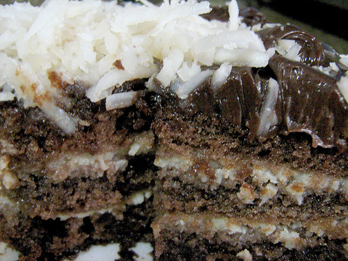 chocolate cocunut cake image search results
