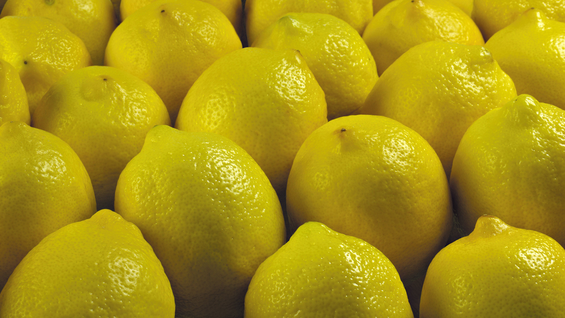 Lemon Puter Wallpaper Desktop Background