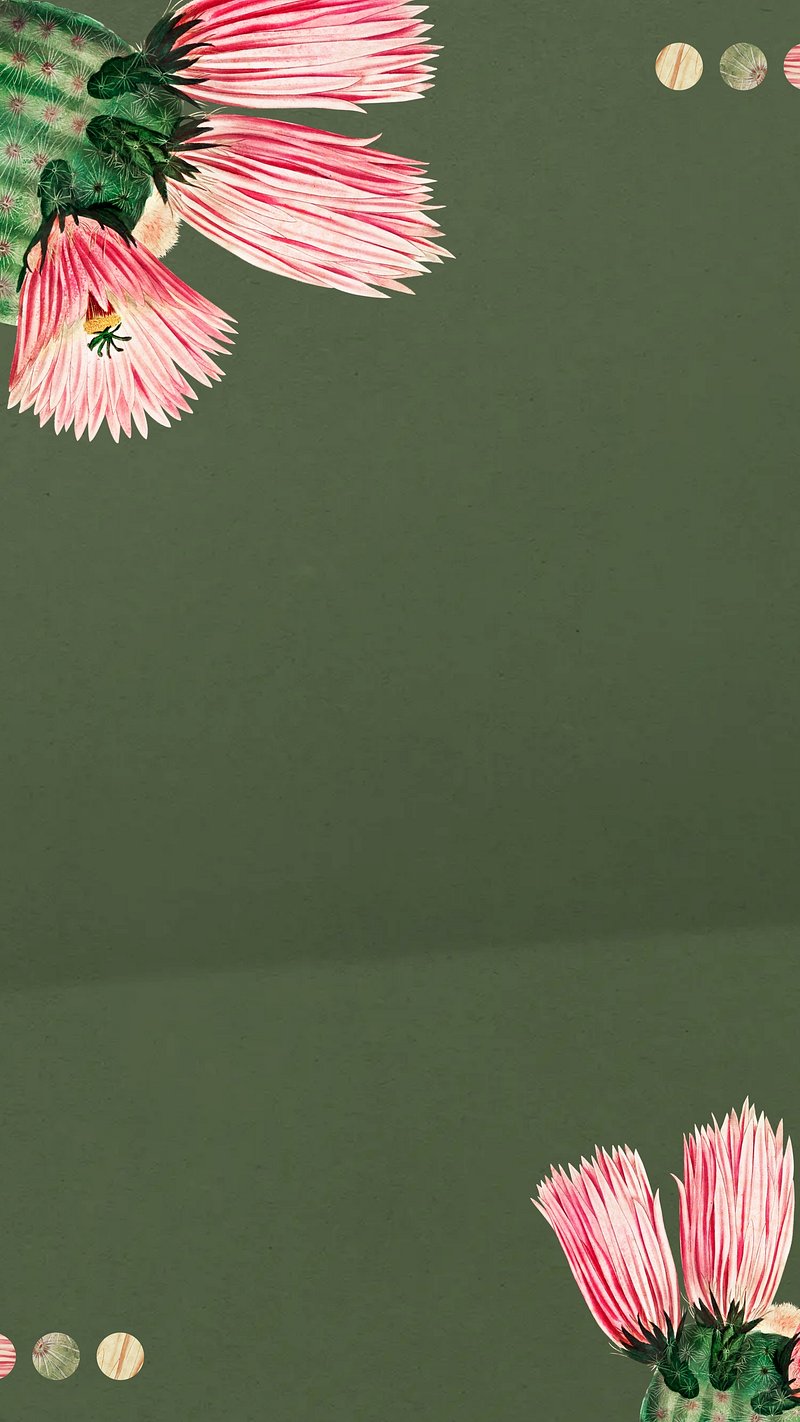 Chjpdmf0zs9sci9pbwfnzxmvd2vic2l0zs8ymdizltazl2pvyje1odlkzxnpz24tcmvtaxgtmthilweuanbn Wallpaper