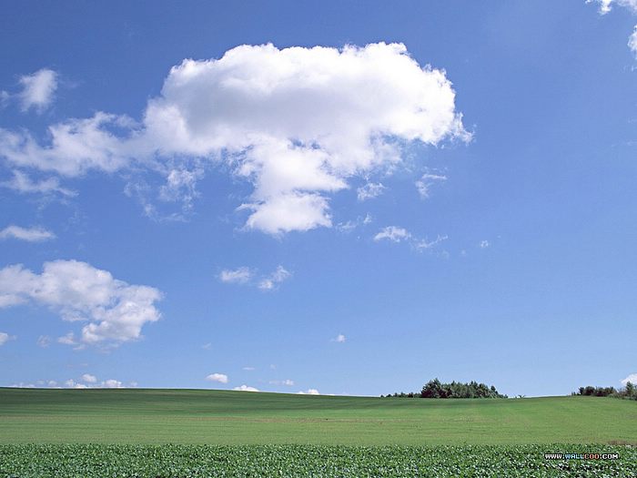 Country Field Under Blue Sky Wallpaper Of Vast