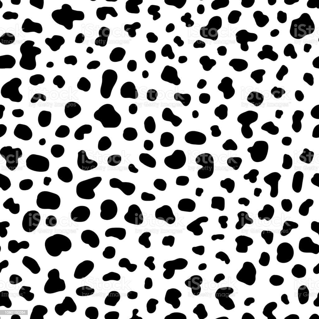 Black And White Animal Print Wallpaper