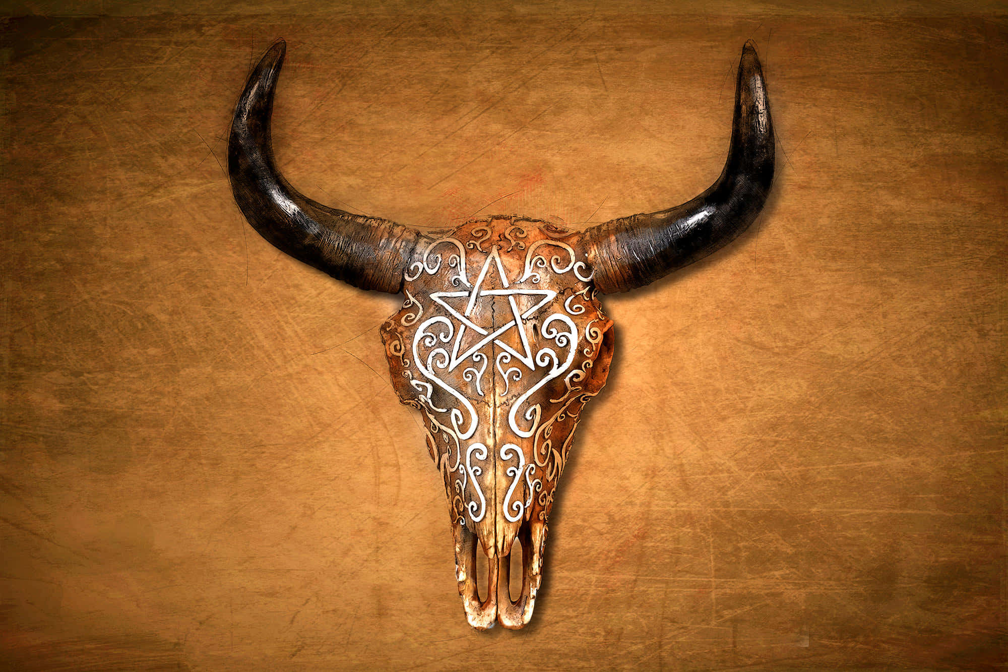 Bull Skull Wallpaper