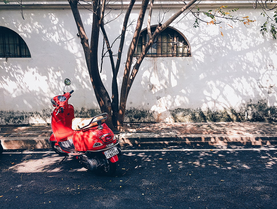 Photo Of Red Motor Scooter Under Tree HD Wallpaper