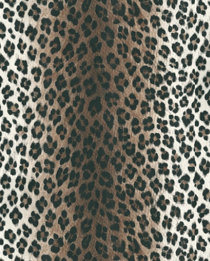 Leopard Print Wallpaper Take A Walk On The Wild Side