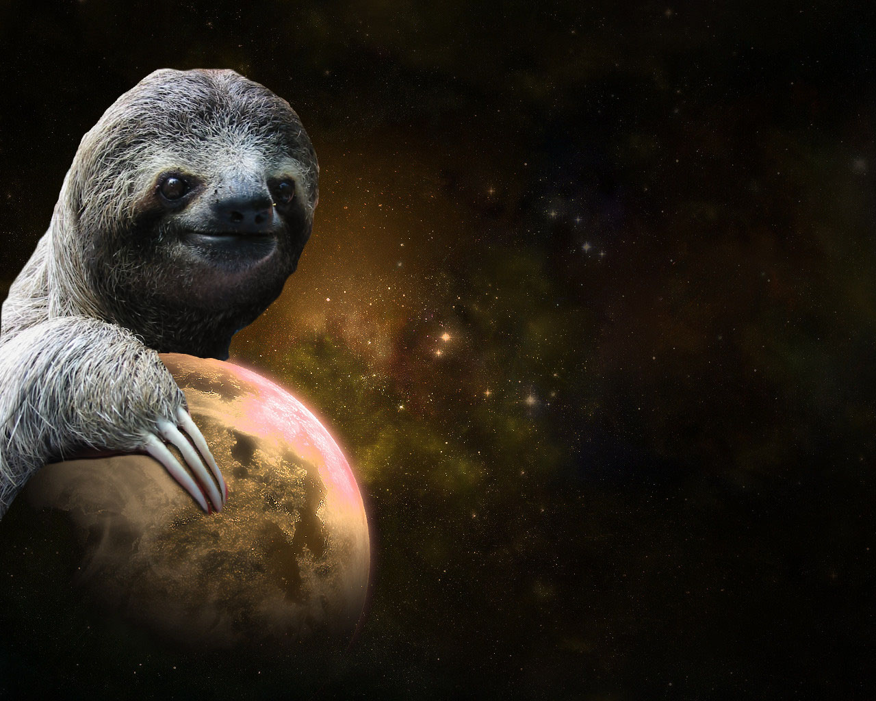 Creature Hugs Love Outerspace Pla Sloth Sloths Space Universe