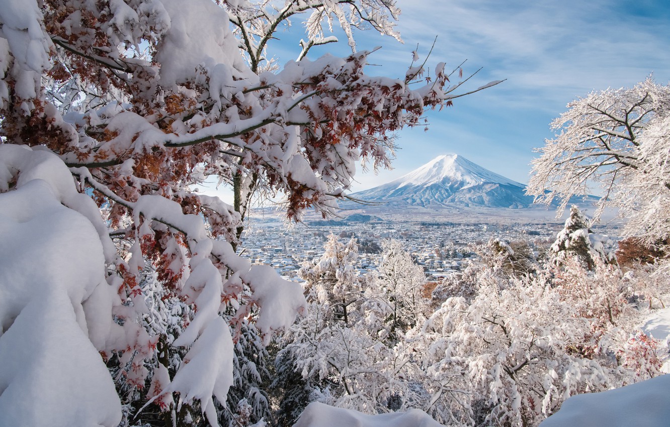 Wallpaper winter snow trees branches the volcano Japan 1332x850