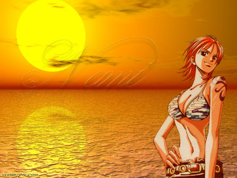 Nami One Piece Wallpaper Hd 800x600 pixel Anime HD Wallpaper 7303 800x600