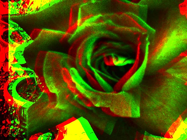Trippy Rasta Background Rose By