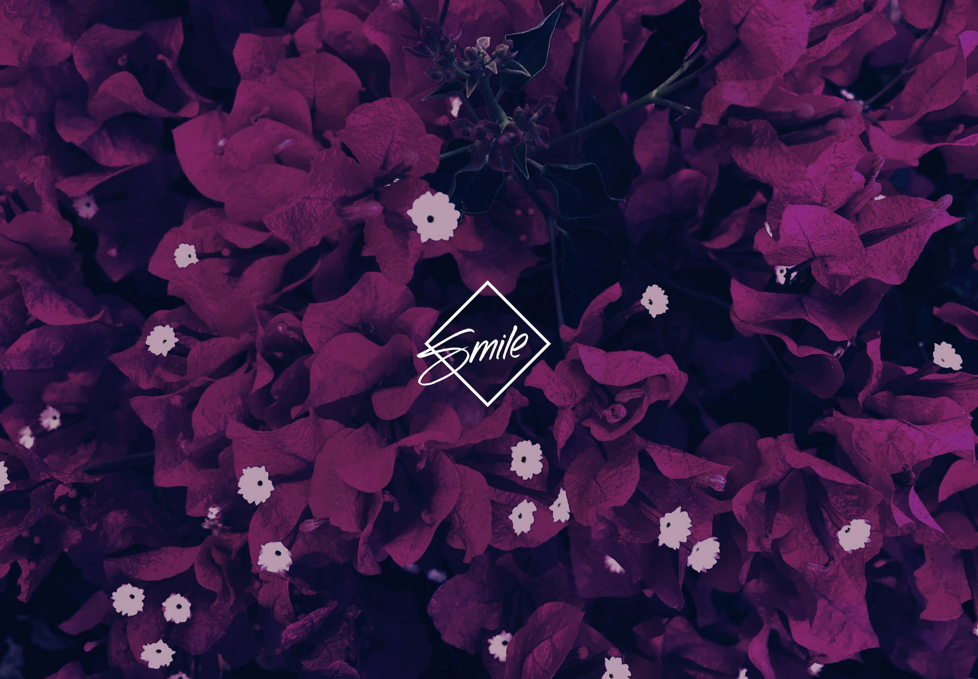Violet Aesthetic Wallpaper