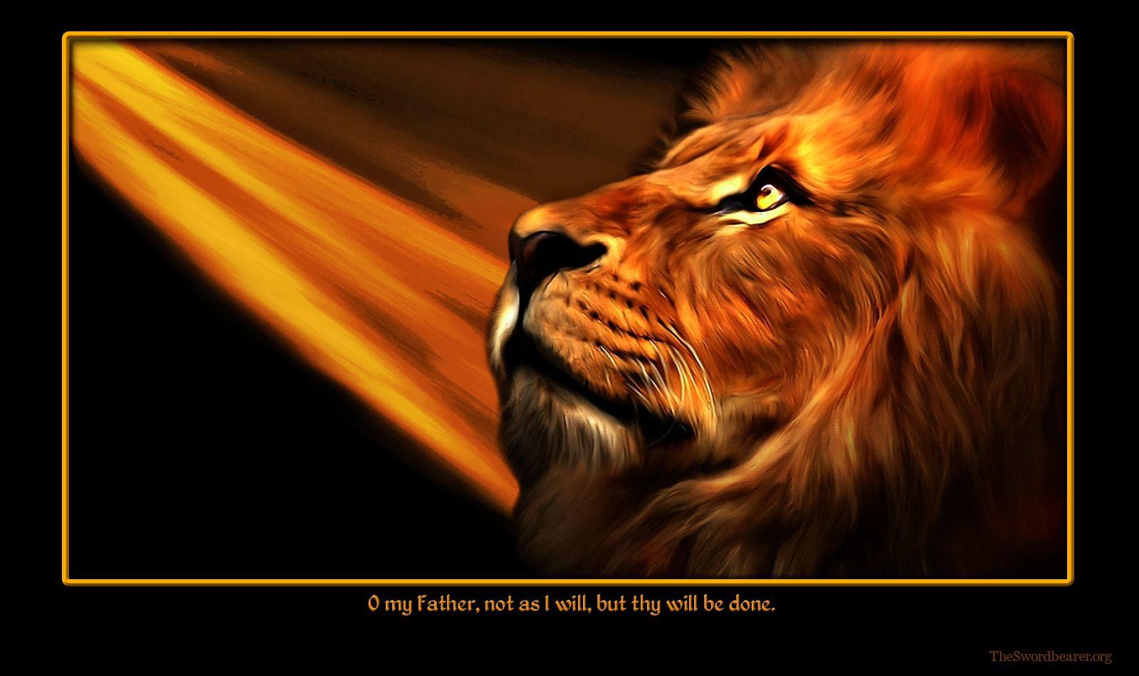 Lion Of Judah Wallpaper
