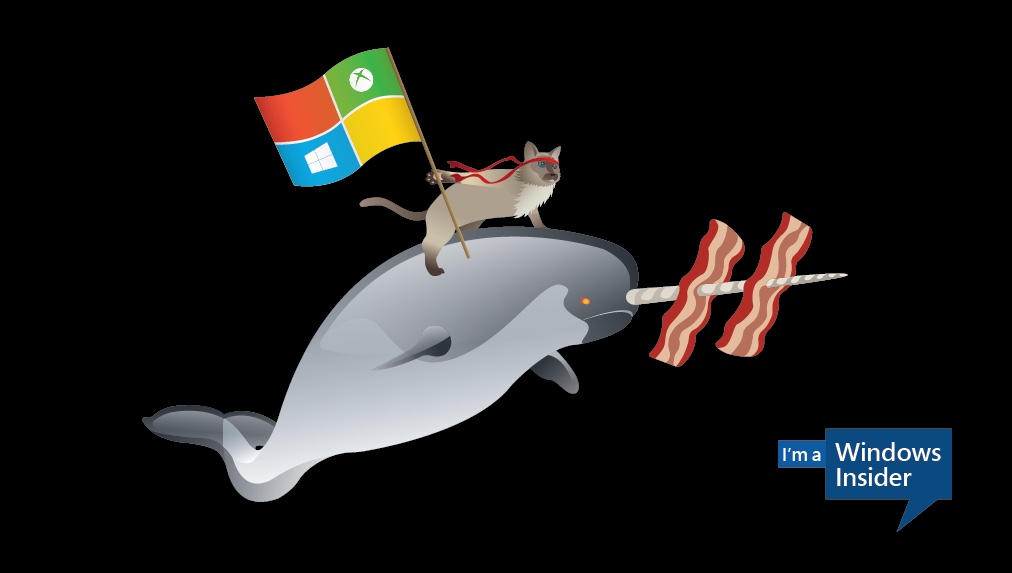  celebrates Windows 10 by asking users to create ninja cat wallpapers