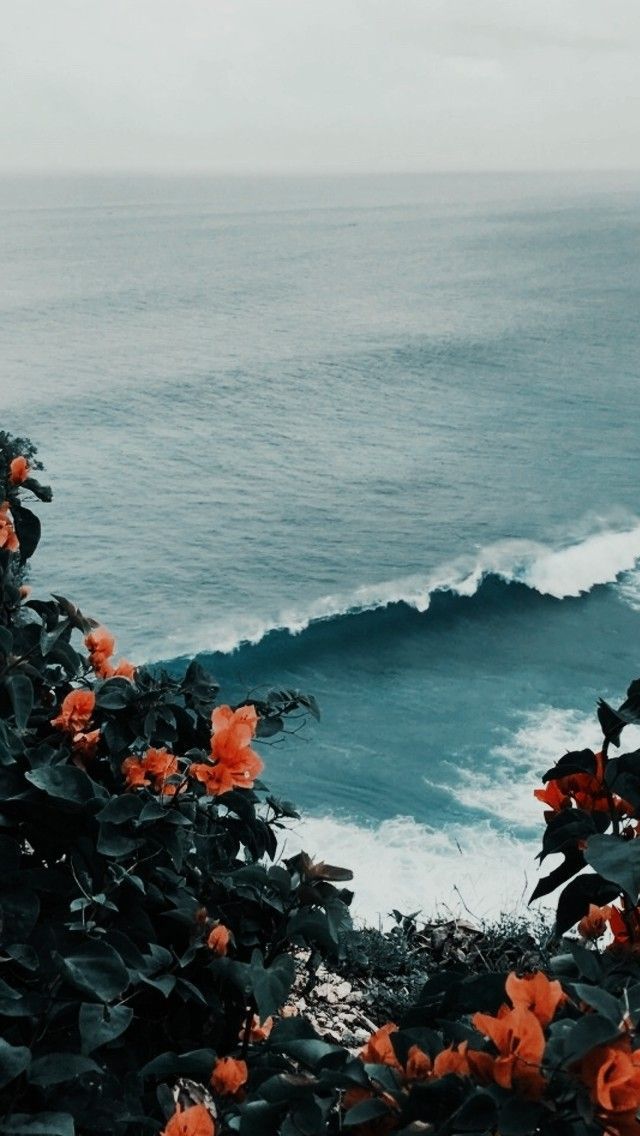 Love This Ocean Through The Prettiest Flowers Nature