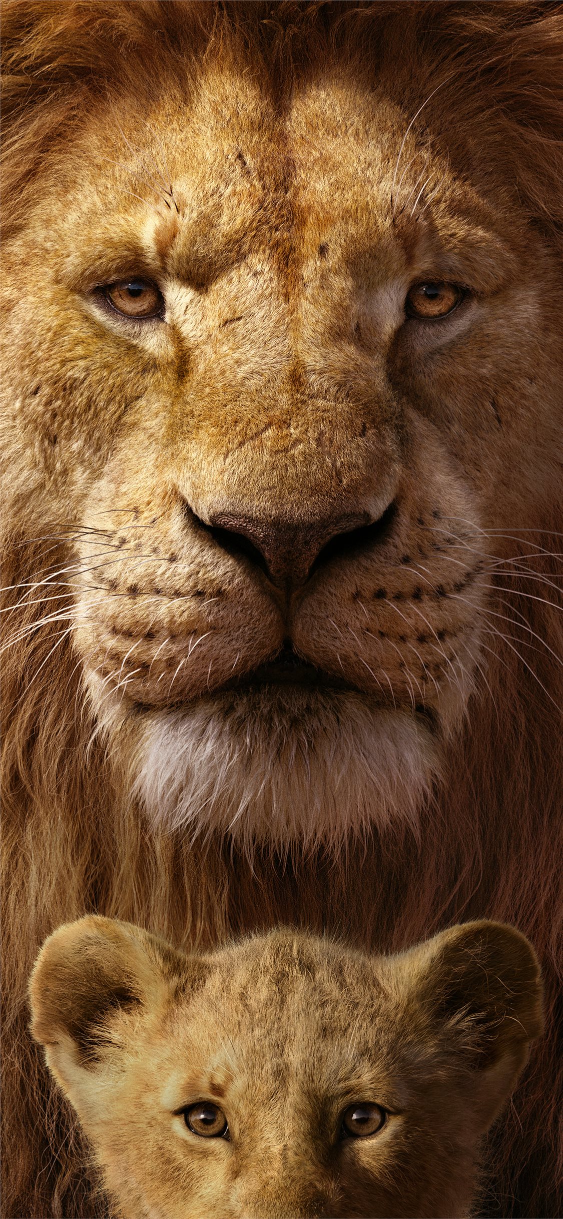 The Lion King 8k iPhone Wallpaper