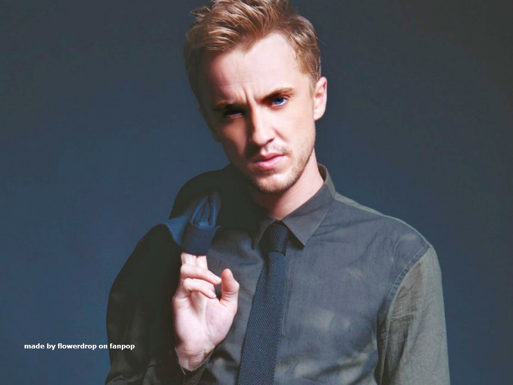 Tom Felton Wallpaper