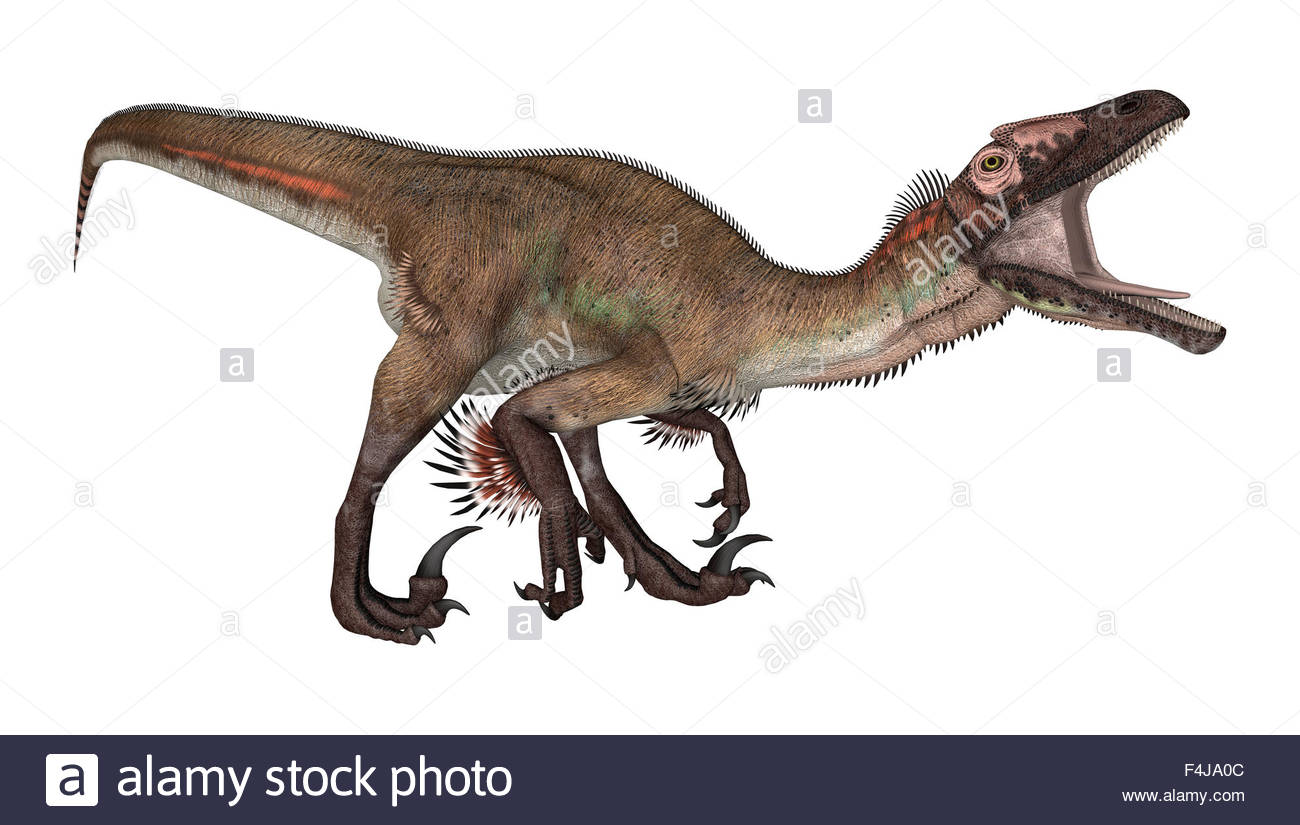 3d Digital Render Of A Dinosaur Utahraptor Isolated On White Stock