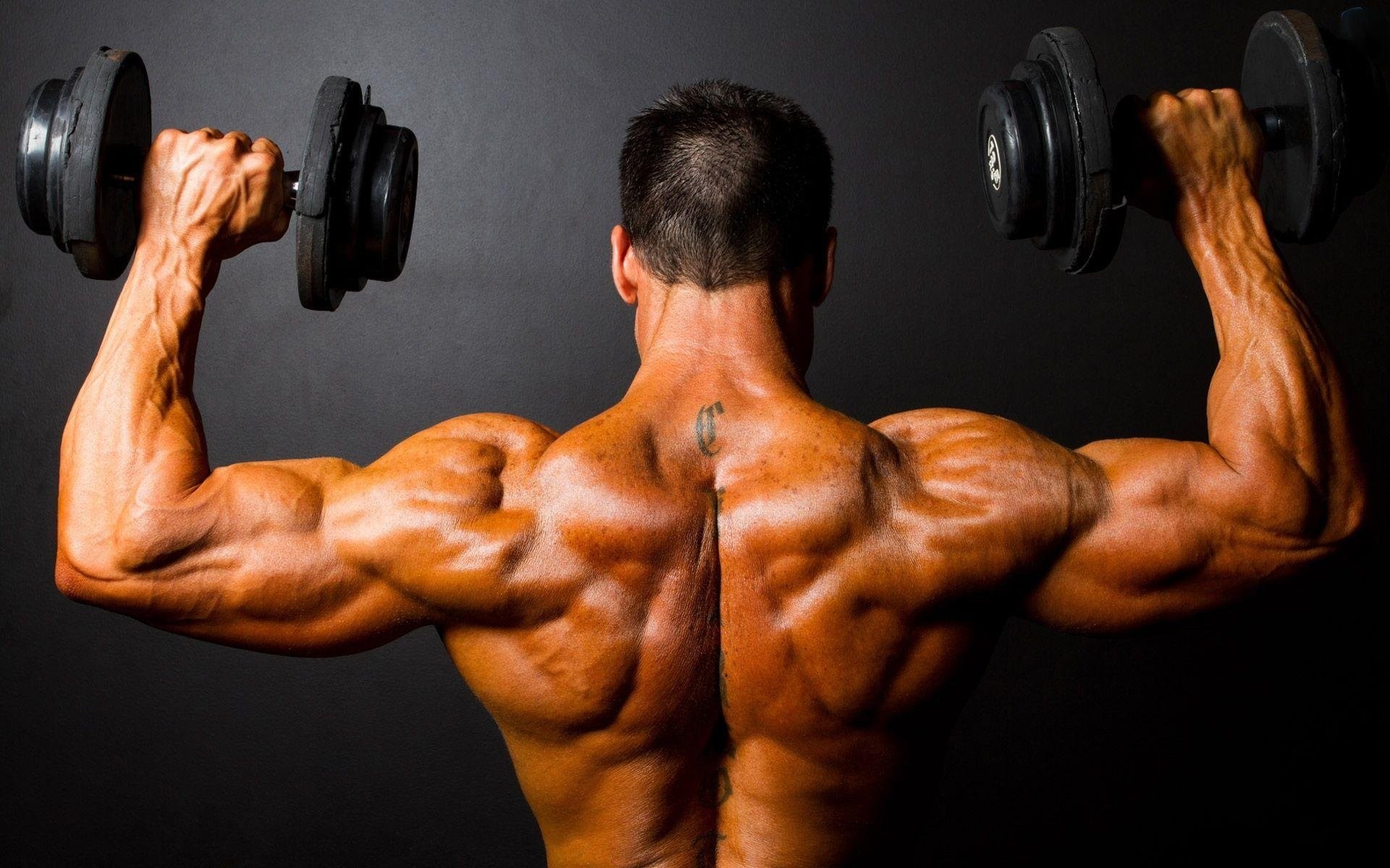Top Weight Lifting Wallpaper