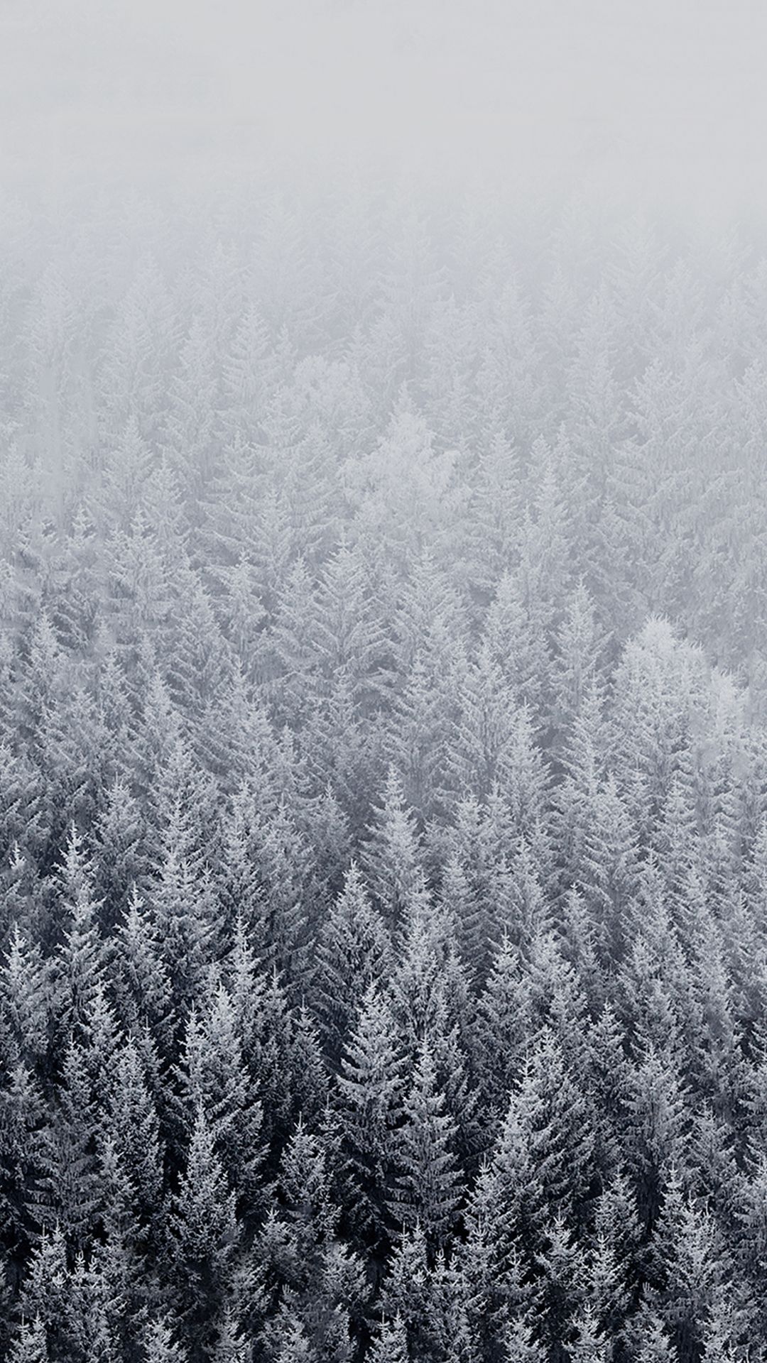 HD Winter Background For iPhone Ios Wallpaper