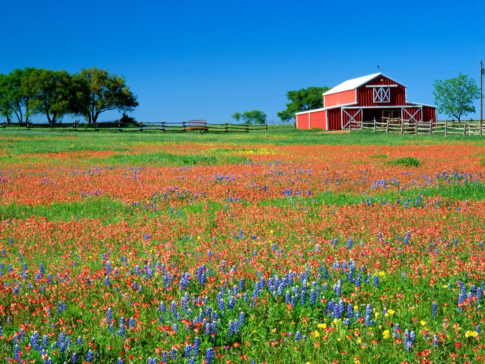 Texas Desktop Wallpaper HD Background Of Your Choice