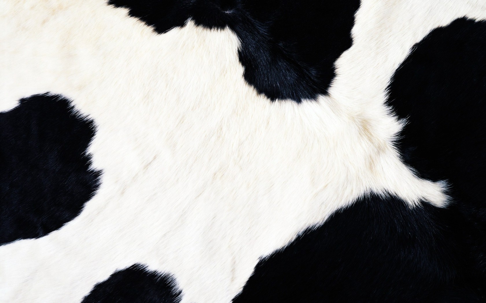 Cow Fur Wallpaper