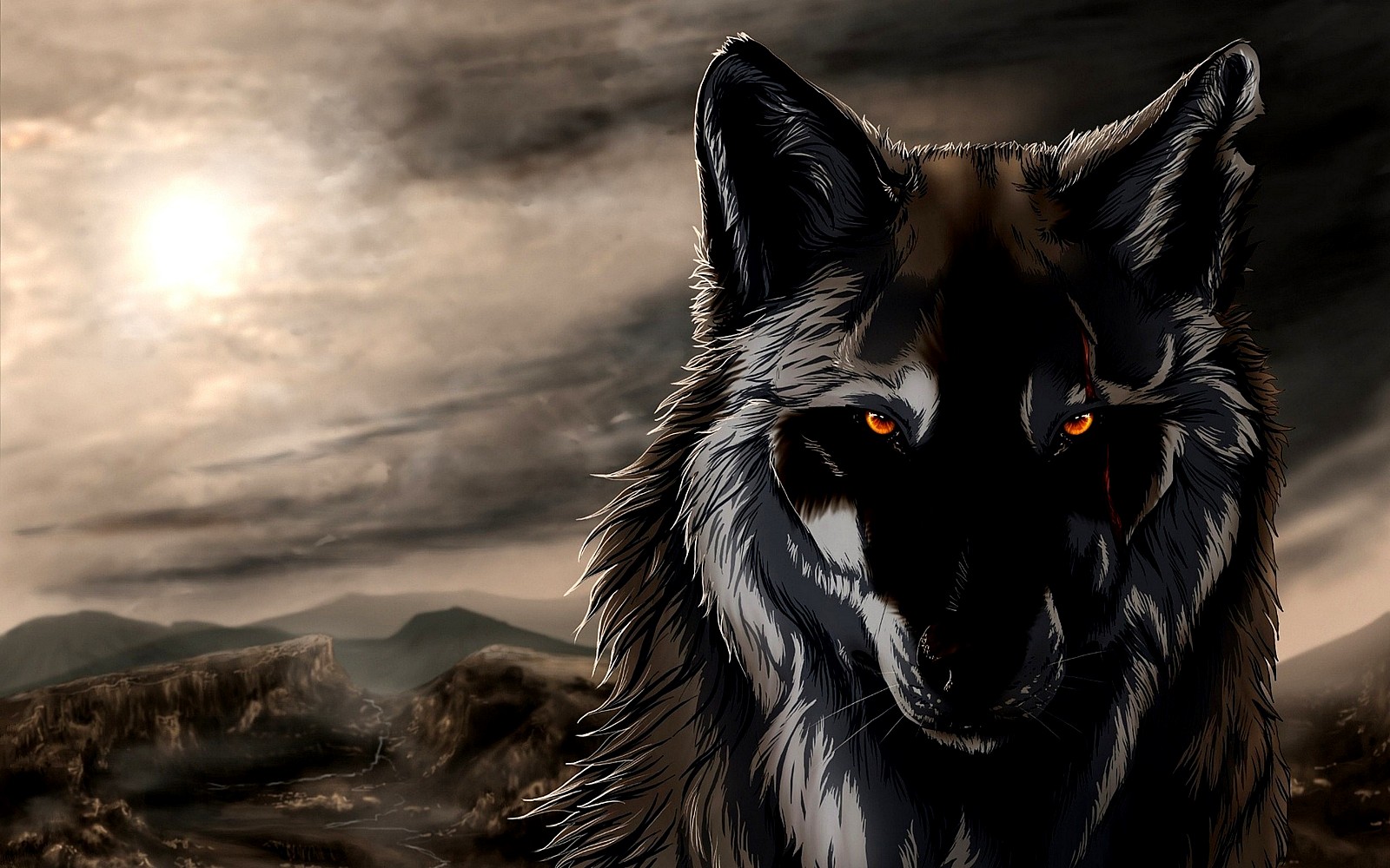 HD Wolf Face Pictures To Pin Pinsdaddy
