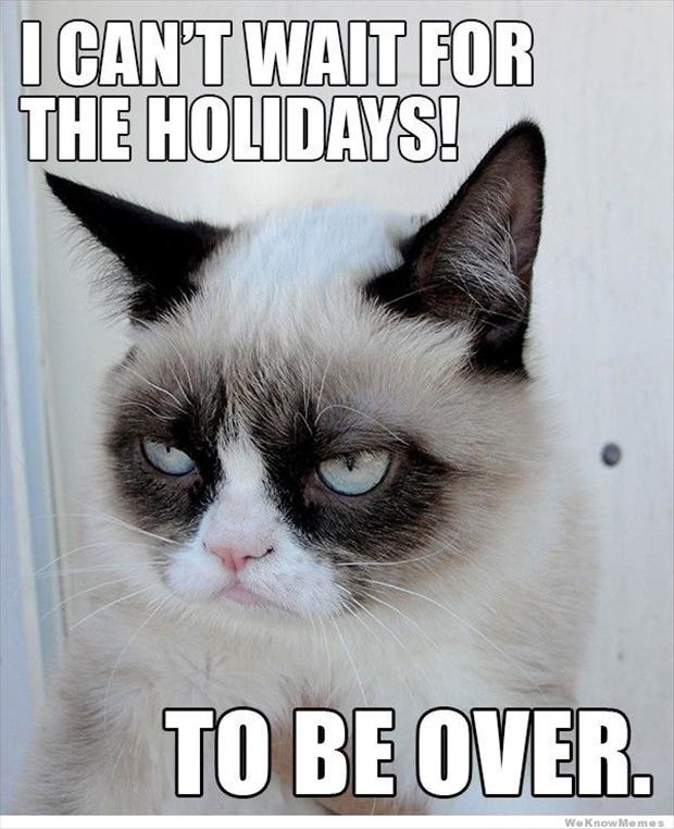 Image for Grumpy Cat Images