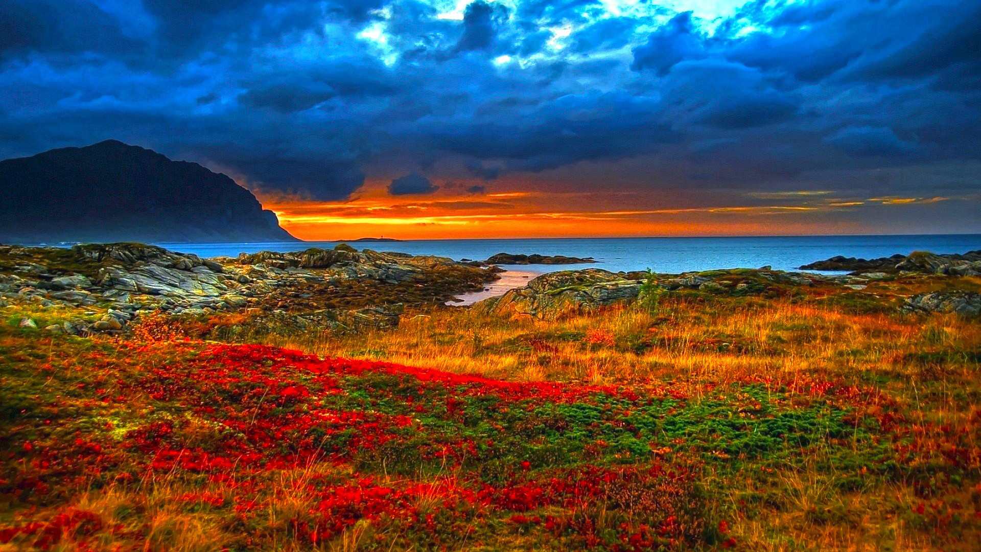A breathtaking sunset over a rocky coastline, with vibrant red and green vegetation in the foreground