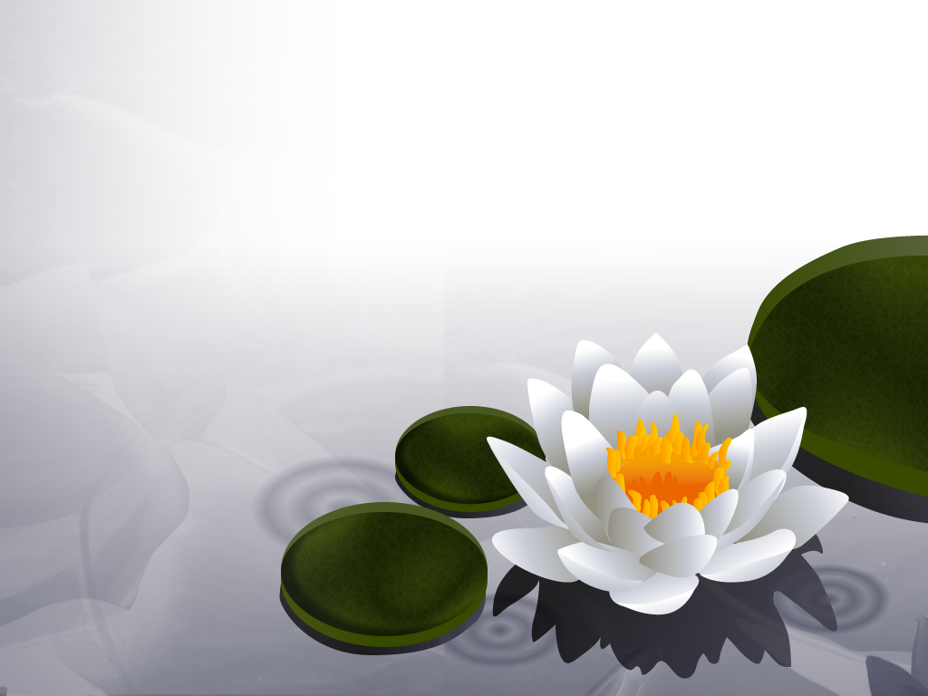 Free download lotus flower wallpaper free lotus flower wallpaper lotus  dream [1024x768] for your Desktop, Mobile & Tablet | Explore 44+ Lotus  Wallpaper HD | Lotus Flower Wallpaper, Lotus Wallpaper, Lotus Flower  Wallpapers