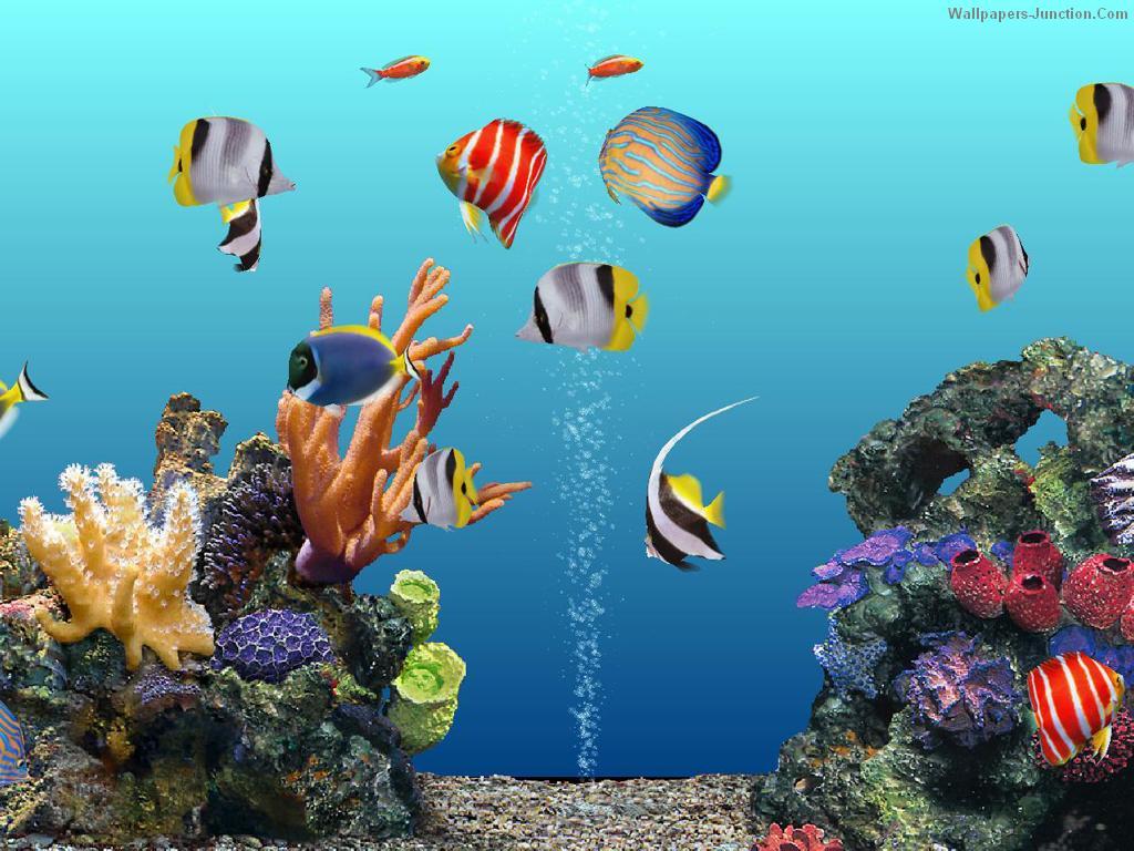  48 Free Animated Aquarium Desktop Wallpaper on 