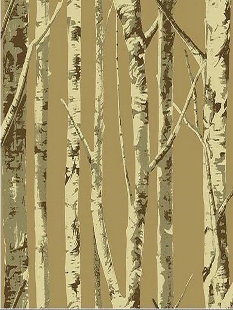 Brown Contemporary Birch Tree Wallpaper