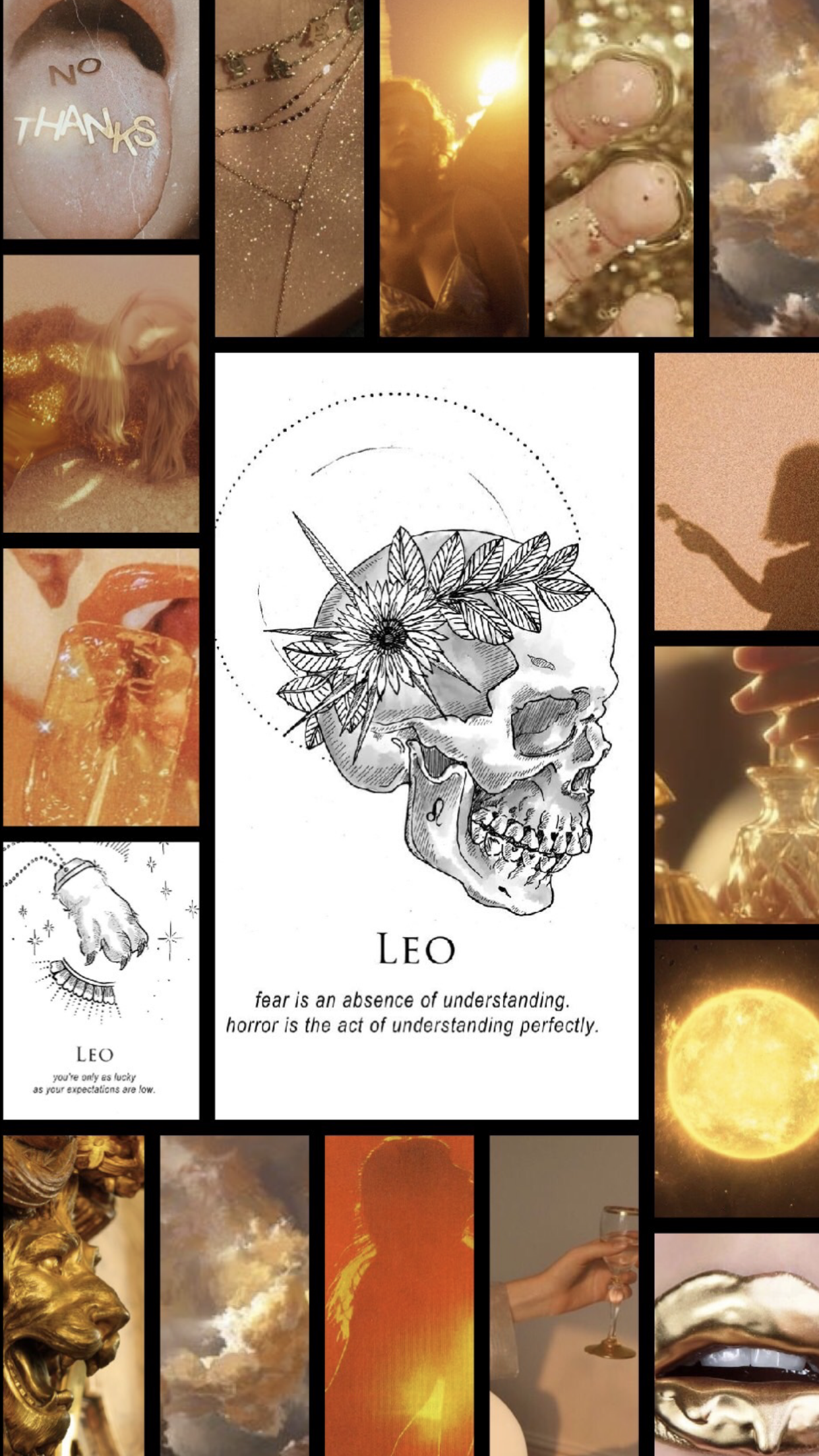 Leo Aesthetic Wallpaper Star Sign Art Zodiac